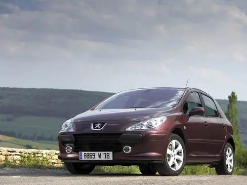 Peugeot 307 EDC16C0 1037370239 C18269A