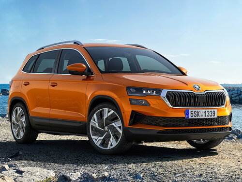 Skoda Karoq MED17.5.27 10SW060931 04E906027NQ 0667