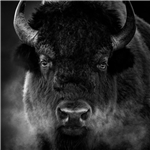 ZPower Ян  Метальников  